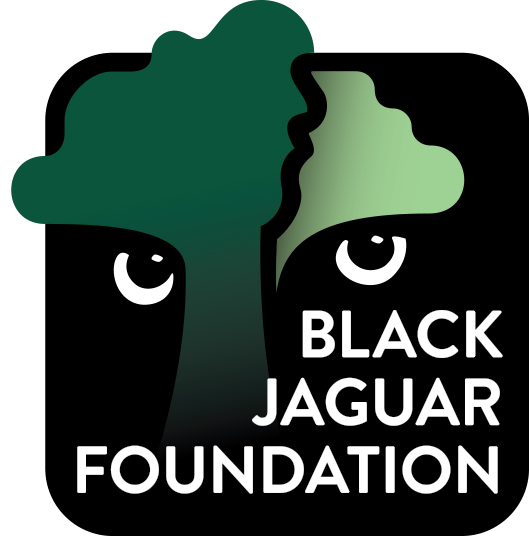 Jan Zandbergen Group - logo Black Jaguar Foundation