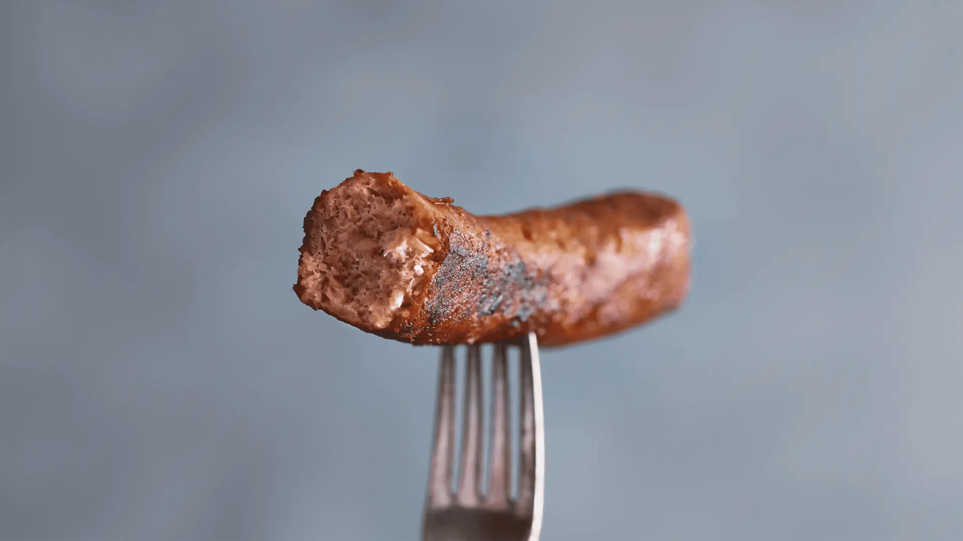 Jan Zandbergen - Moving Mountains Sausage