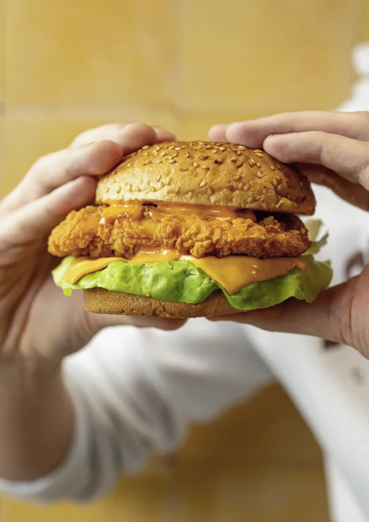 Jan Zandbergen - Roosterz&Co Homestyle Burger Hot&Spicy